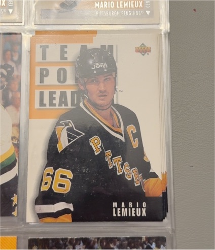 1993-94 Upper Deck #301 Mario Lemieux — front