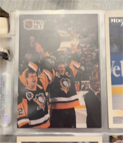 1991 Pro Set #318 Mario Lemieux — front