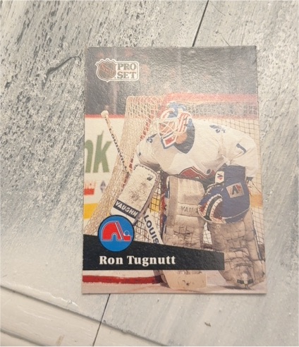 1991-92 Pro Set #202 Ron Tugnutt — front