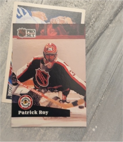1991 Pro Set #304 Patrick Roy — front