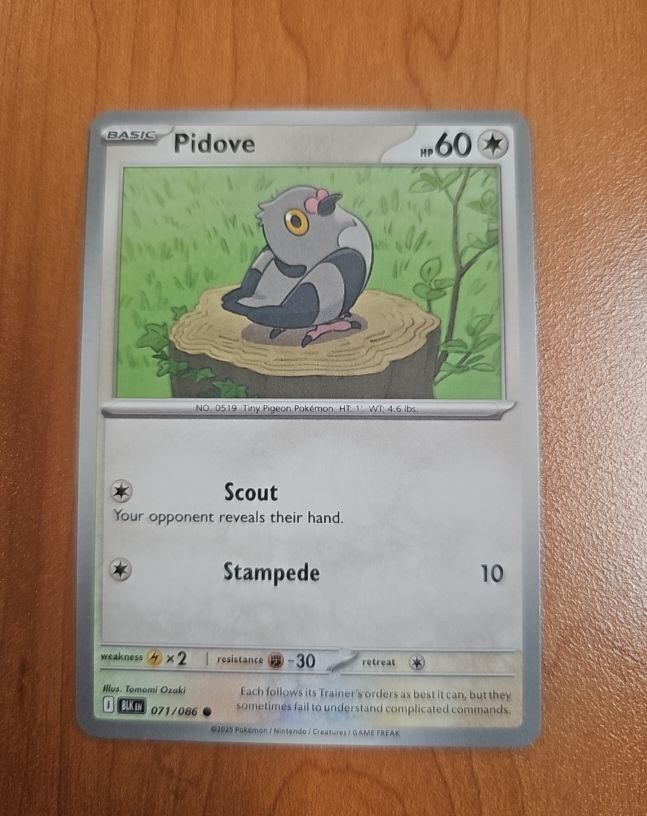 2023 Pokémon #071 Pidove — front