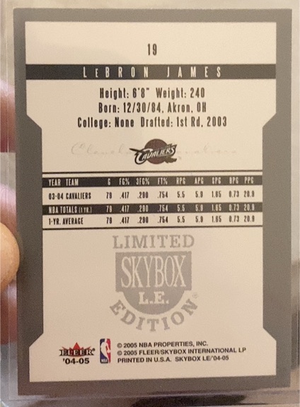 2004 Fleer Skybox Limited Edition #19 LeBron James — front