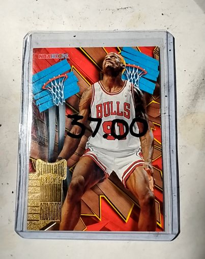 1995-96 Skybox NBA Hoops Slamland #SL8 Dennis Rodman — front