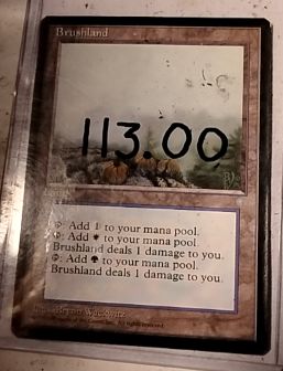 1995 Magic: The Gathering Ice Age Brushland — front