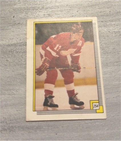 1988-89 O-Pee-Chee Sticker #254 Gerard Gallant — front
