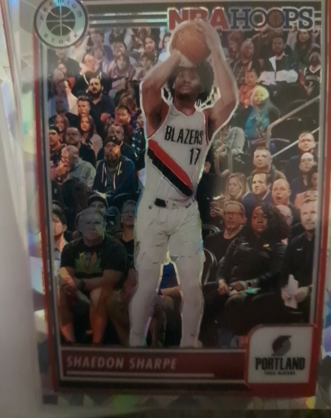 2023-24 Panini NBA Hoops Premium Stock #214 Shaedon Sharpe — front
