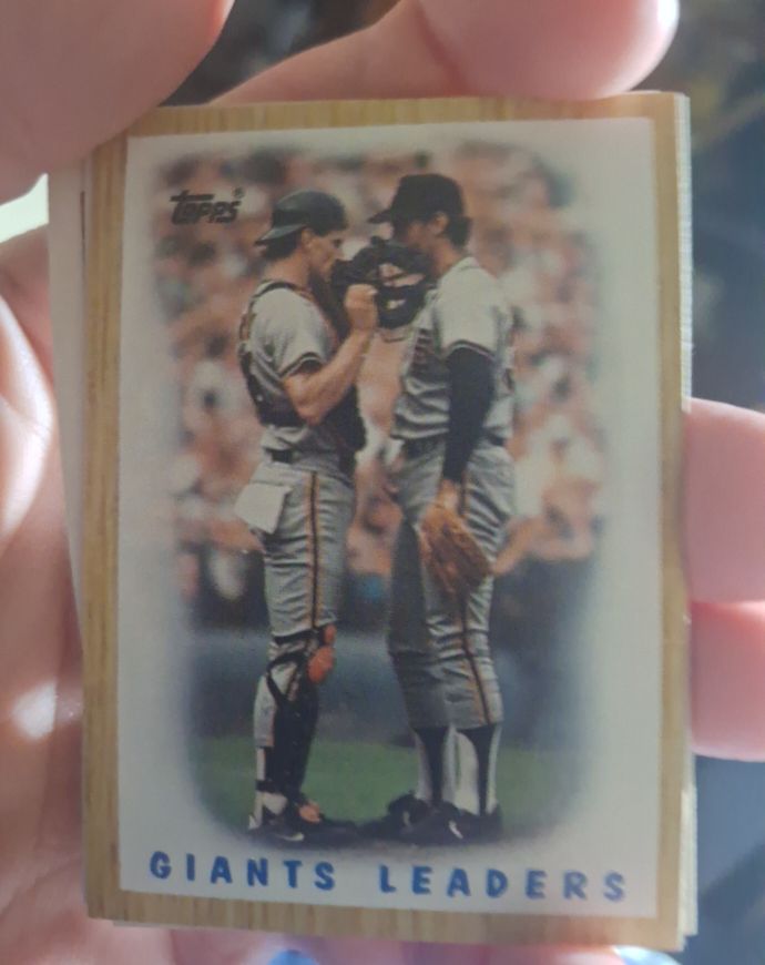 1987 Topps #231 Giants Leaders Bob Brenly & Jim Gott — front