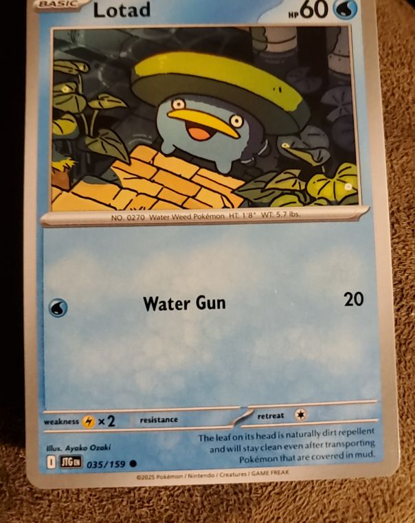 2025 Pokémon Scarlet & Violet Journey Together #035 Lotad — front