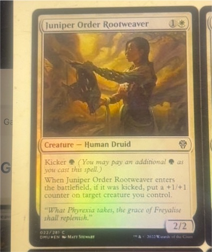 2022 Magic: The Gathering Dominaria United #22 Juniper Order Rootweaver — front