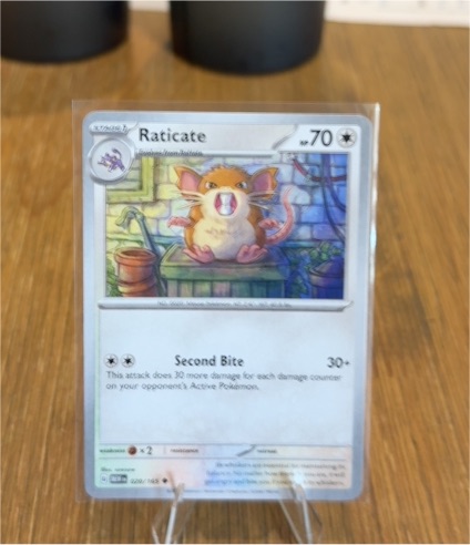 2023 Pokémon Scarlet & Violet 020 Raticate — front