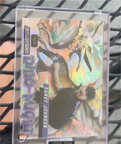 2024 Wild Card Alumination Dino-Might #DMPTE2-RJ Randy Johnson — front