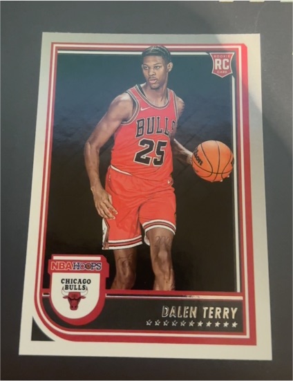 2022-23 Panini NBA Hoops #248 Dalen Terry RC — front