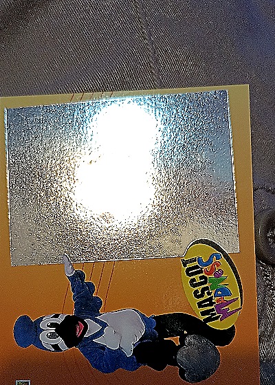 1993 Upper Deck Mascot Madness #4 BJ Birdy — front