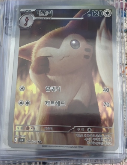 2025 Pokémon #110 Furret — front