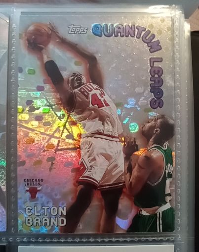 2000-01 Topps Quantum Leaps #QL7 Elton Brand — front