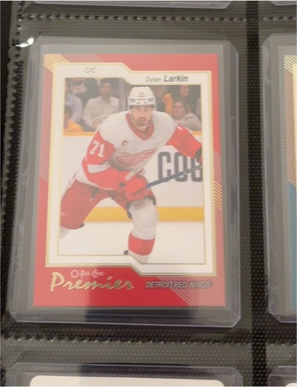 2023-24 O-Pee-Chee Premier #P-60 Dylan Larkin — front