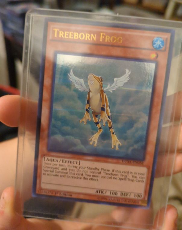 Yu-Gi-Oh! SOI-EN025 Treeborn Frog — front