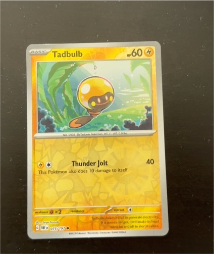 2023 Pokémon SV03: Obsidian Flames #075 Tadbulb — front