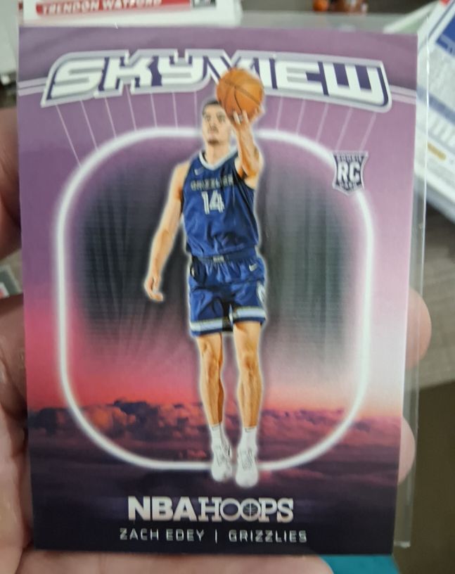 2024-25 Panini NBA Hoops #14 Zach Edey Skyview — front