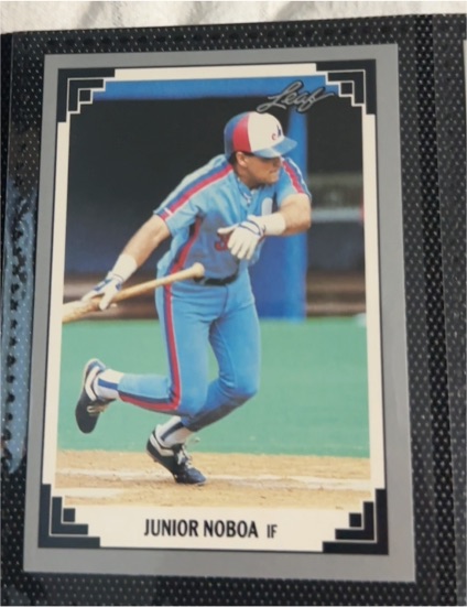 1991 Leaf #255 Junior Noboa — front