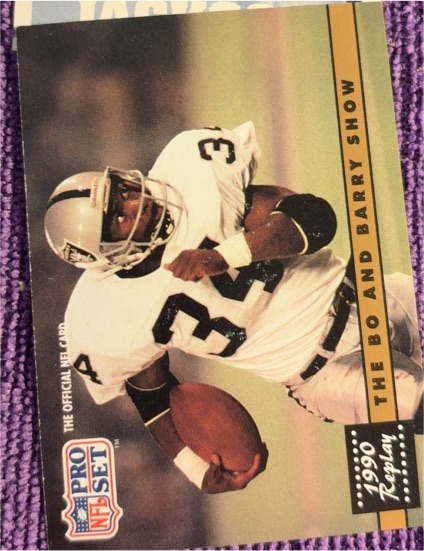 1991 Pro Set #335a The Bo and Barry Show — front