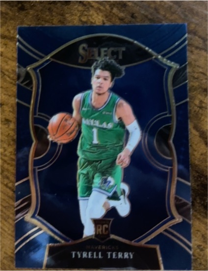 2020-21 Panini Select #91 Tyrell Terry — front