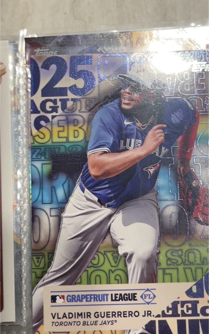 2025 Topps Series 1 Training Grounds #TG-7 Vladimir Guerrero Jr. — front