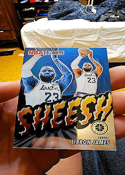 2023-24 Panini NBA Hoops Premium Stock #17 LeBron James Sheesh — front