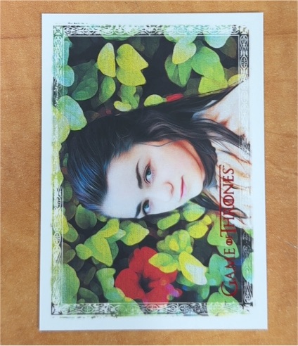2023 Rittenhouse Game of Thrones Art & Images Red Parallel Base ART43 Arya Stark — front