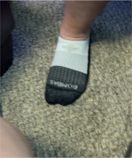 Bombas Sock — front