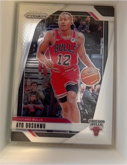 2024-25 Panini Prizm #121 Ayo Dosunmu — front