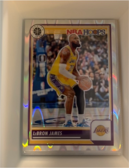 2023-24 Panini NBA Hoops Premium Stock #149 LeBron James — front