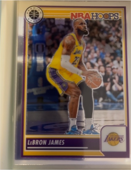 2023-24 Panini NBA Hoops Premium Stock #149 LeBron James — front