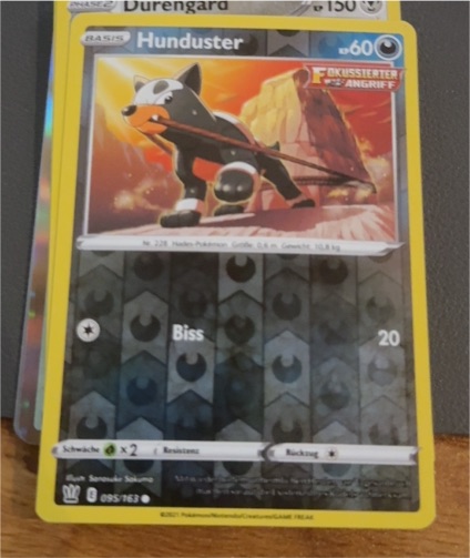 2021 Pokémon TCG Battle Styles #095 Hunduster — front