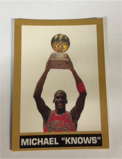 1991 Michael Jordan Chicago Bulls Basketball Card — front