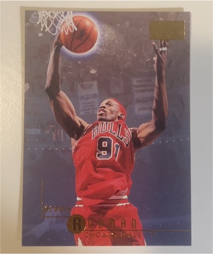 1996-97 Skybox Premium #19 Dennis Rodman — front