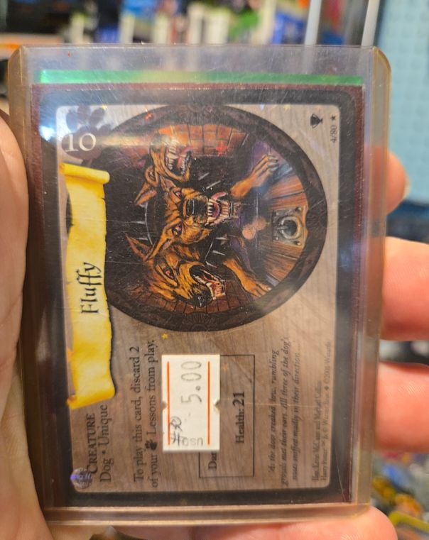 2001 WOTC Harry Potter Quidditch Cup #4 Fluffy — front