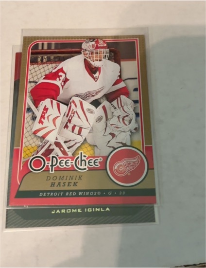 2008-09 O-Pee-Chee #290 Dominik Hasek — front