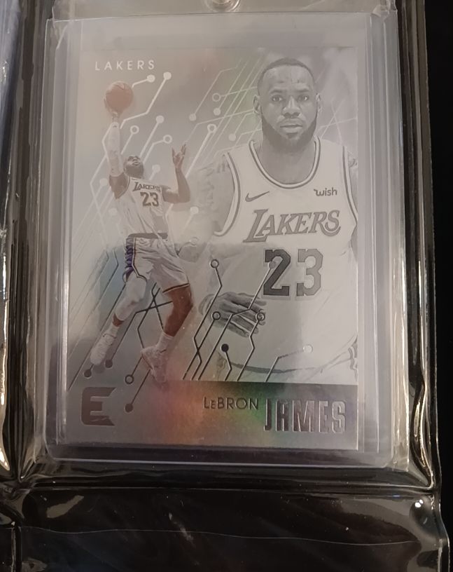 2019-20 Panini Chronicles Essentials #223 LeBron James — front