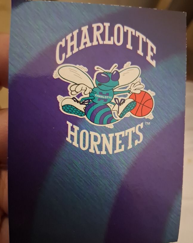 1994-95 Hoops #393 Charlotte Hornets — front