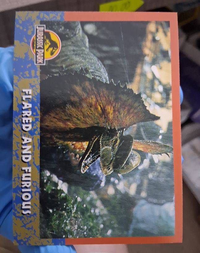 1993 Topps Jurassic Park #45 Flared and Furious — front