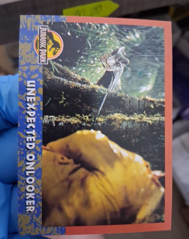 1993 Topps Jurassic Park #43 Unexpected Onlooker — front