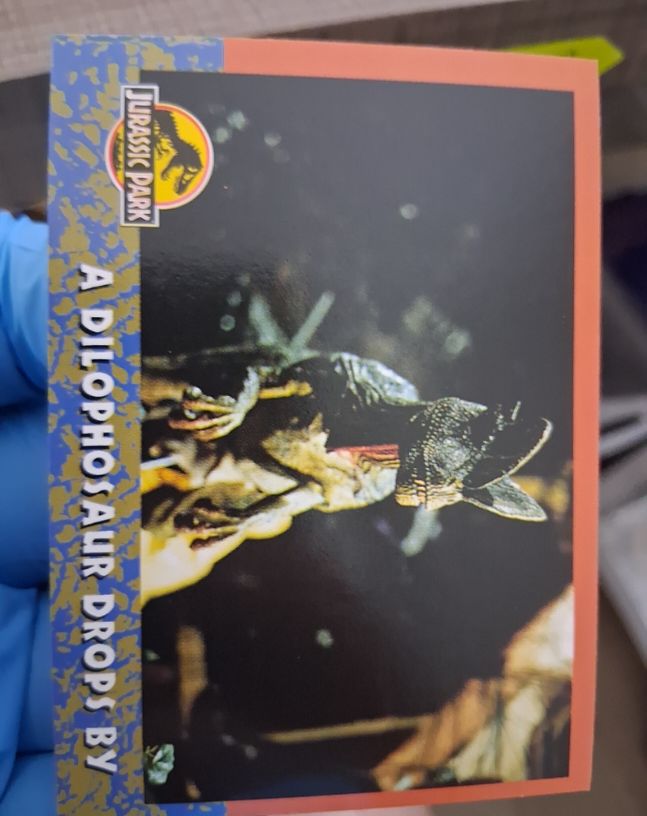 1993 Topps Jurassic Park #44 A Dilophosaur Drops By — front