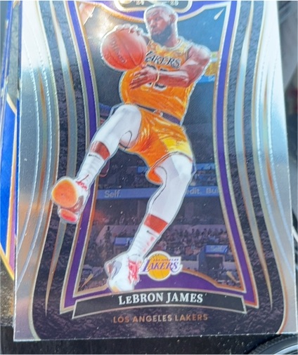 2024-25 Panini Select #310 LeBron James Mezzanine Level — front