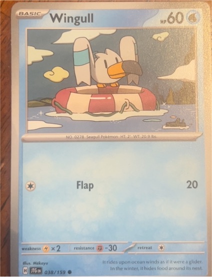 2025 Pokémon TCG Journey Together #038 Wingull — front