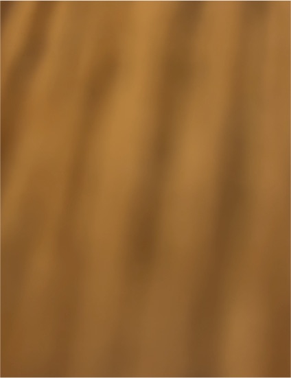 LVG InterCal 12" X 4ft Fine Brushed Copper Specialty Craft & Hobby Vinyl — front