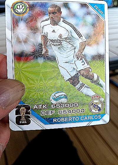2008 FIFA Roberto Carlos #20/080 — front