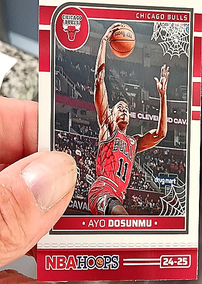 2024-25 Panini NBA Hoops #171 Ayo Dosunmu — front