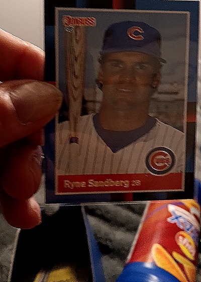 1989 Donruss #242 Ryne Sandberg — front