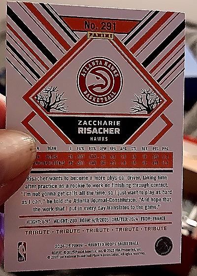2024-25 Panini Haunted Hoops #291 Zaccharie Risacher — back